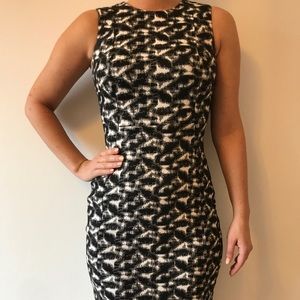 Calvin Klein work professional dress